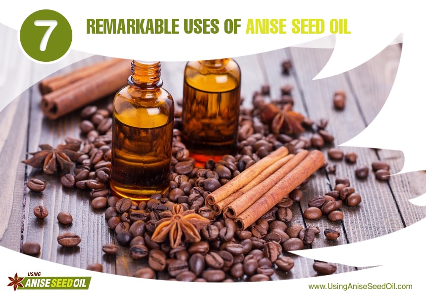 anise seed oil uses