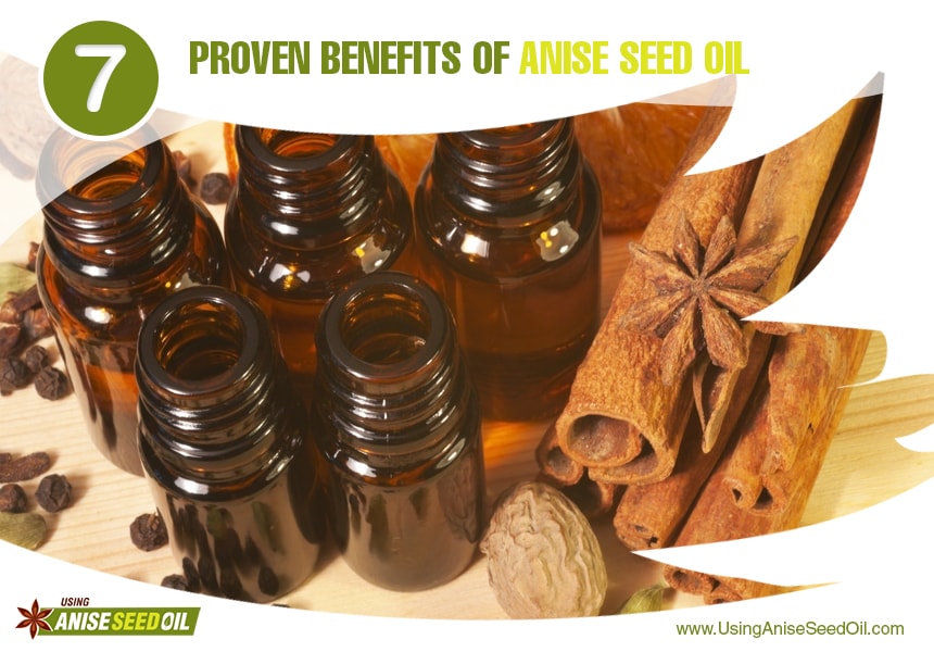  what are anise seeds used for